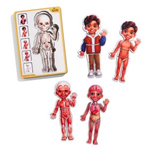 Дерев'яний пазл-вкладиш "Анатомія людини - хлопчик-2" будова тіла