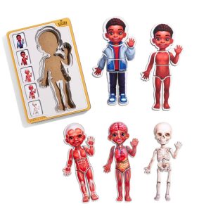 Alternative view of Дерев'яний пазл-вкладиш "Анатомія людини - хлопчик-3" будова тіла