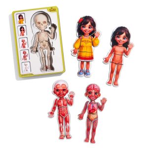 Дерев'яний пазл-вкладиш "Анатомія людини - дівчинка-2" будова тіла