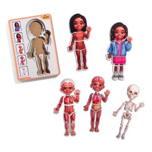 Alternative view of Дерев'яний пазл-вкладиш "Анатомія людини - дівчинка-3" будова тіла