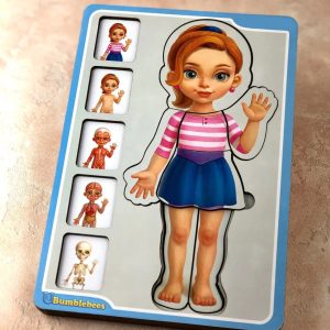 Дерев'яний пазл-вкладиш "Анатомія людини – дівчинка" Ubumblebees будова тіла