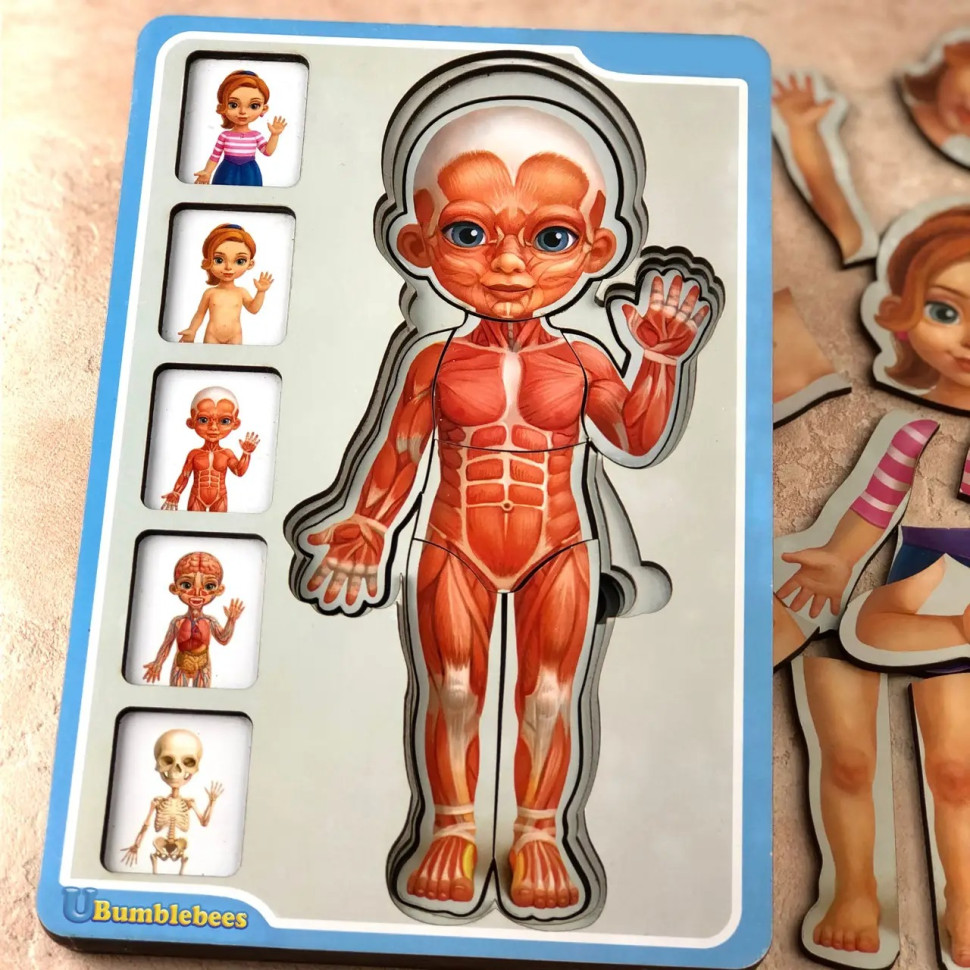 Дерев'яний пазл-вкладиш "Анатомія людини – дівчинка" Ubumblebees будова тіла Дерев'яний пазл-вкладиш "Анатомія людини – дівчинка" Ubumblebees будова тіла - Зображення 4