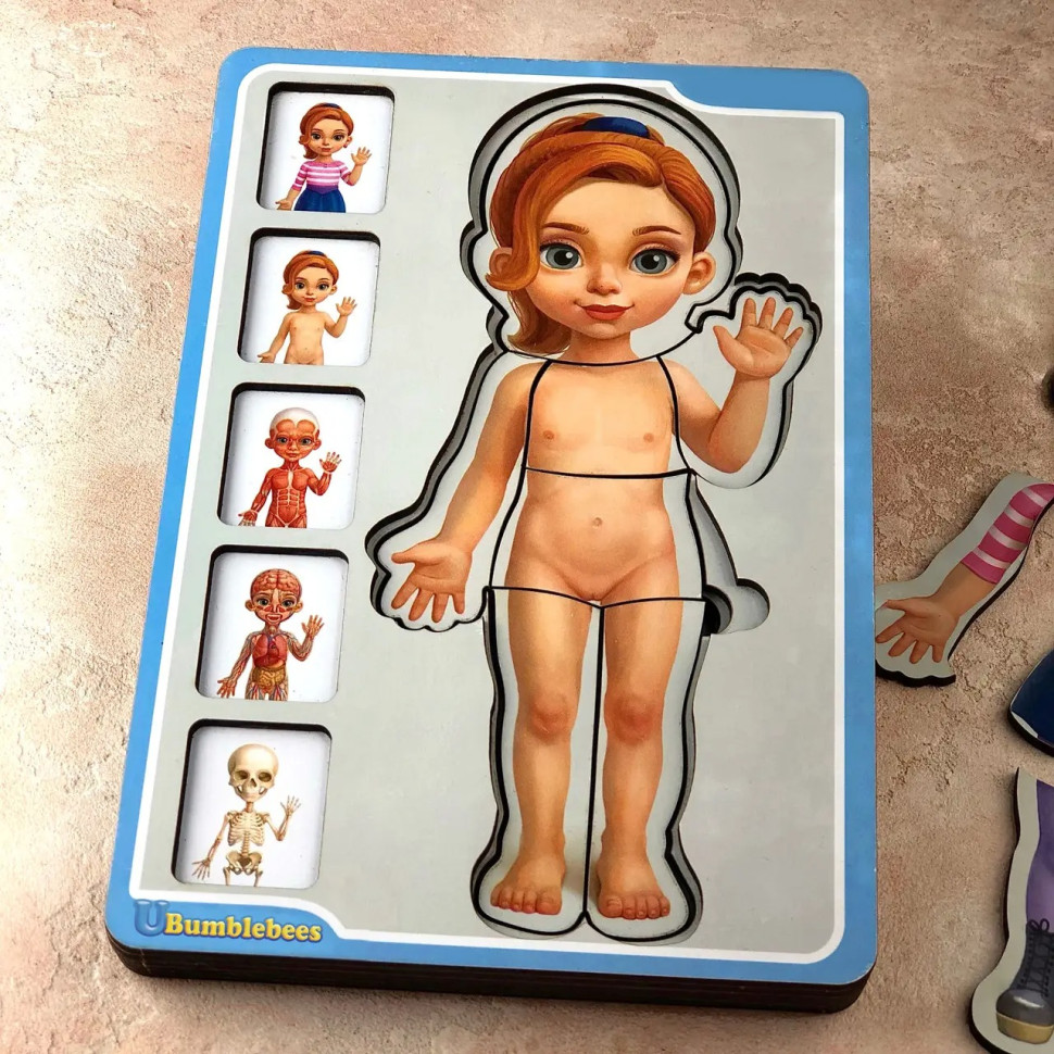 Дерев'яний пазл-вкладиш "Анатомія людини – дівчинка" Ubumblebees будова тіла Дерев'яний пазл-вкладиш "Анатомія людини – дівчинка" Ubumblebees будова тіла - Зображення 3