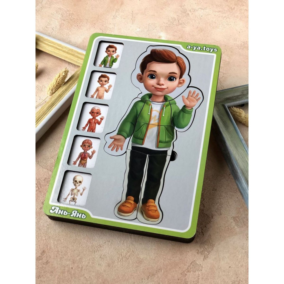 Дерев'яний пазл-вкладиш "Анатомія людини – хлопчик" Ubumblebees будова тіла Дерев'яний пазл-вкладиш "Анатомія людини – хлопчик" Ubumblebees будова тіла