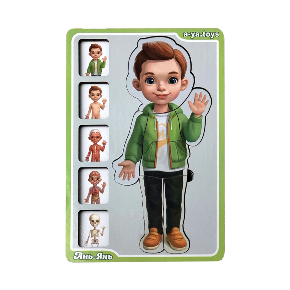 Дерев'яний пазл-вкладиш "Анатомія людини – хлопчик" Ubumblebees будова тіла Дерев'яний пазл-вкладиш "Анатомія людини – хлопчик" Ubumblebees будова тіла - Зображення 2