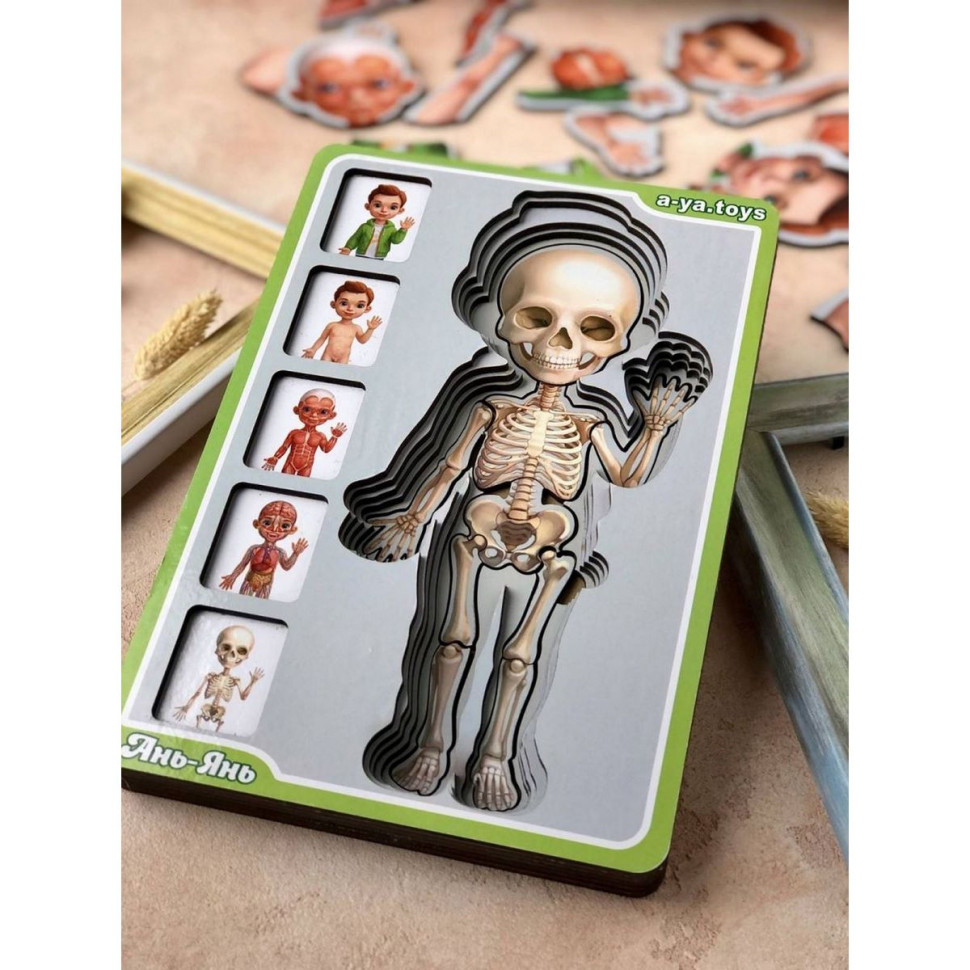 Дерев'яний пазл-вкладиш "Анатомія людини – хлопчик" Ubumblebees будова тіла Дерев'яний пазл-вкладиш "Анатомія людини – хлопчик" Ubumblebees будова тіла - Зображення 4