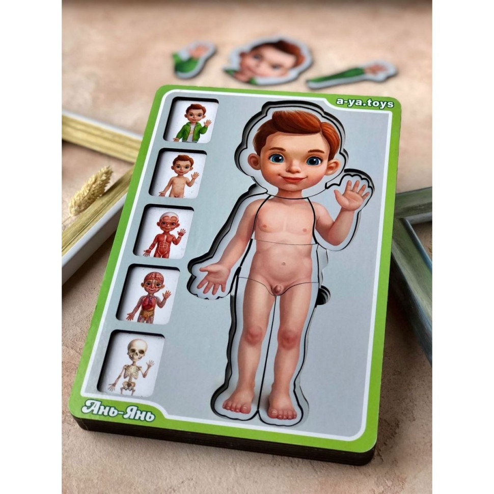 Дерев'яний пазл-вкладиш "Анатомія людини – хлопчик" Ubumblebees будова тіла Дерев'яний пазл-вкладиш "Анатомія людини – хлопчик" Ubumblebees будова тіла - Зображення 3