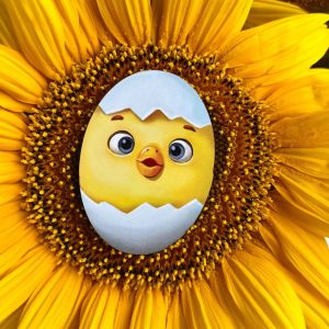 Alternative view of Дерев'яний пазл-вкладиш "Курчата" Ubumblebees геометричні фігури