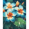 Картина за номерами "Плюмерії" 40х50 см