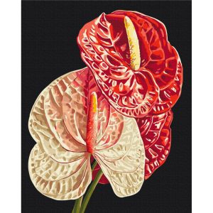 Картина за номерами "Антуріум", 40х50 см