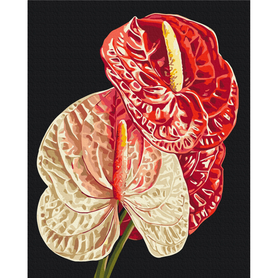 Картина за номерами "Антуріум", 40х50 см Картина за номерами "Антуріум", 40х50 см