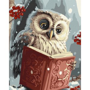 Картина за номерами "Розумна совушка", 40х50 см