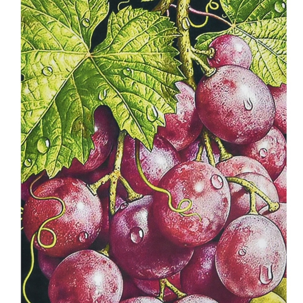 Алмазна мозаїка "Грона багатства" 30х40 см Алмазна мозаїка "Грона багатства" 30х40 см