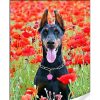 Алмазна мозаїка "Чорний доберман" 30х40 см