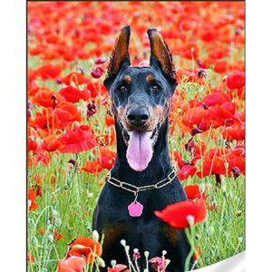 Алмазна мозаїка "Чорний доберман" 30х40 см