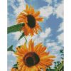 Алмазна мозаїка "Соняшники в небі" 30х40 см