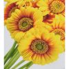 Алмазна мозаїка "Сонячні квіти" 30х40 см