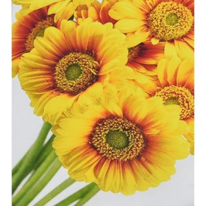 Алмазна мозаїка "Сонячні квіти" 30х40 см