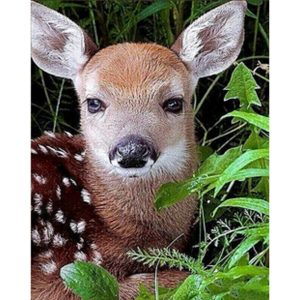 Алмазна мозаїка "Дитинча косулі" 30х40 см