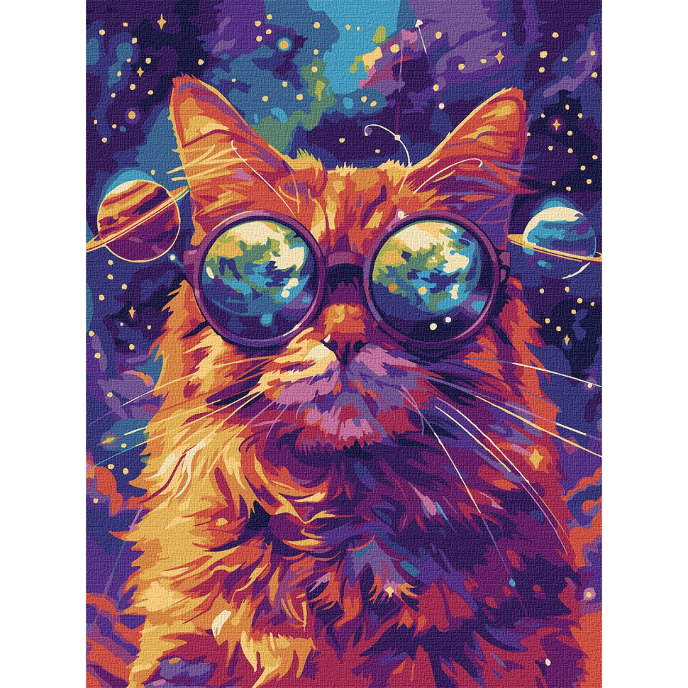 Картина за номерами "Зоряні окуляри" Ідейка 30х40 см Картина по номерам "Звездные очки" Идейка 30х40 см