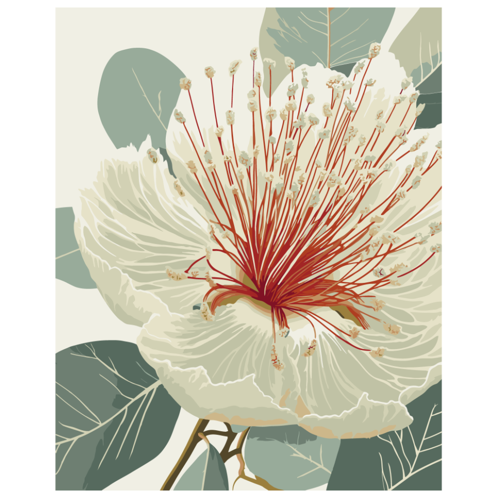 Картина за номерами "Квітучий евкаліпт" Art Craft 40х50 см Картина за номерами "Квітучий евкаліпт" Art Craft 40х50 см