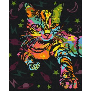 Картина за номерами "Космічний кіт", 40х50 см