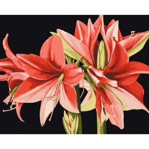Картина за номерами "Амаріліс" © Anastasiia Osmolovska, 40х50 см
