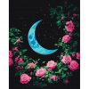 Картина за номерами "Квітучий Місяць", 40х50 см