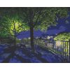 Картина по номерам "Вечерний парк" 40x50 см