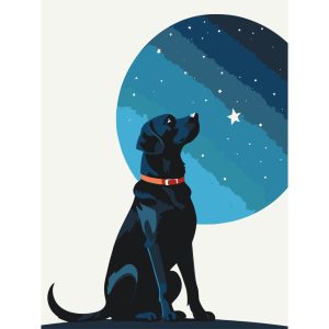 Картина за номерами "Зоряний пес" 30х40 см