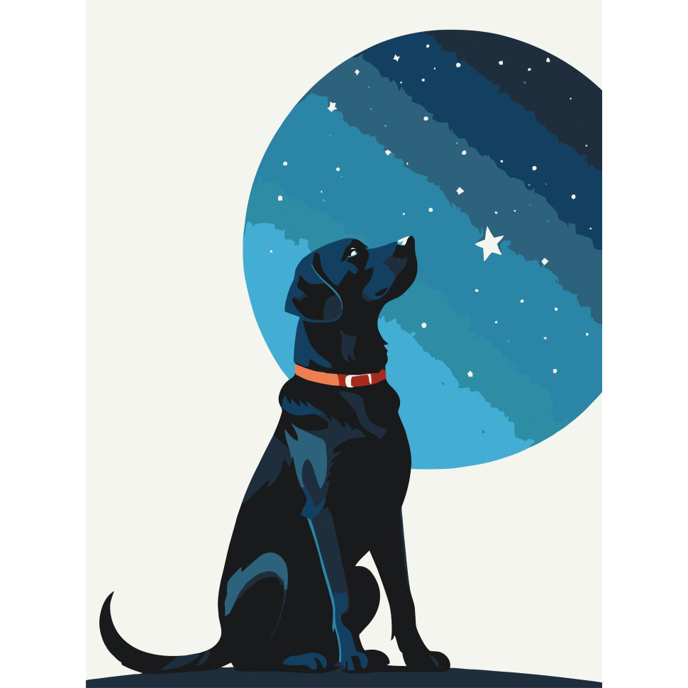 Картина за номерами "Зоряний пес" 30х40 см Картина за номерами "Зоряний пес" 30х40 см