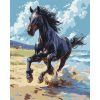 Картина по номерам "Благородный скакун" 40х50 см