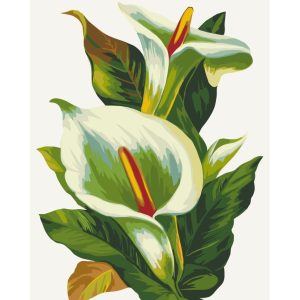 Картина за номерами без підрамника "Білі калли" 40х50 см