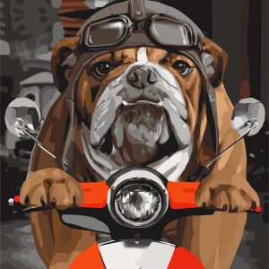 Картина за номерами. "Спробуй наздожени" 40 * 50см Картина за номерами. "Спробуй наздожени" 40 * 50см