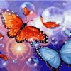 Картина за номерами. Brushme "Мильні метелики"