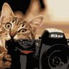 Картина за номерами. Art Craft "Пухнастий фотограф" 40 * 50 см