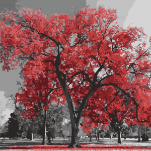 Картина по номерам. Art Craft "Канадский ясень" 40*50 см