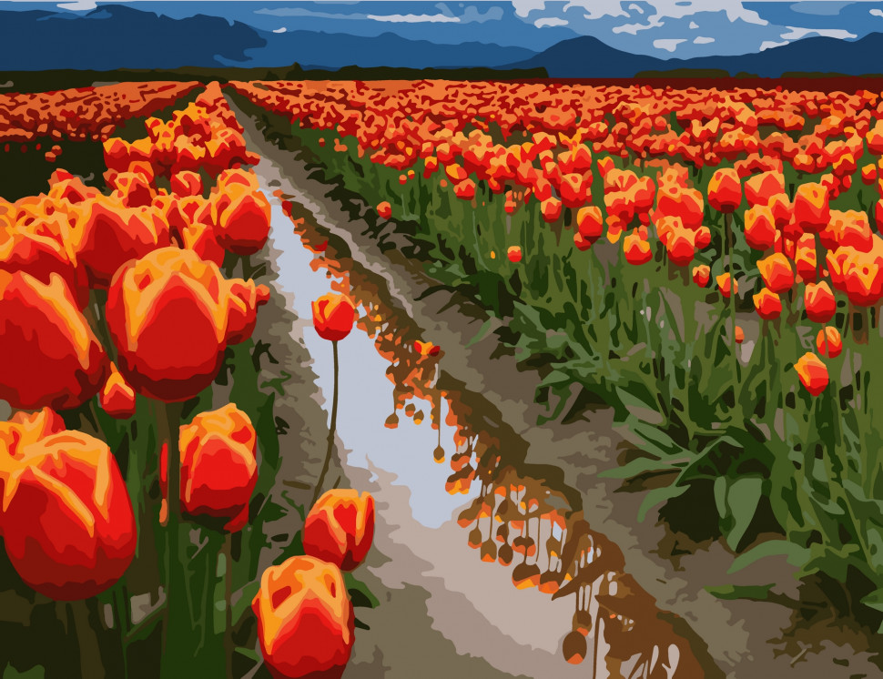 Картина за номерами. Art Craft "Поля в Голландії" 40 * 50 см Картина за номерами. Art Craft "Поля в Голландії" 40 * 50 см