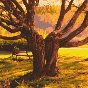 Картина за номерами. Art Craft "Старійшина парку" 40 * 50 см