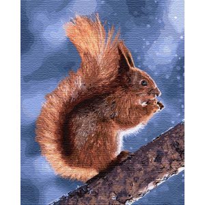 Картина по номерам. "Маленькая белочка" 40*50см