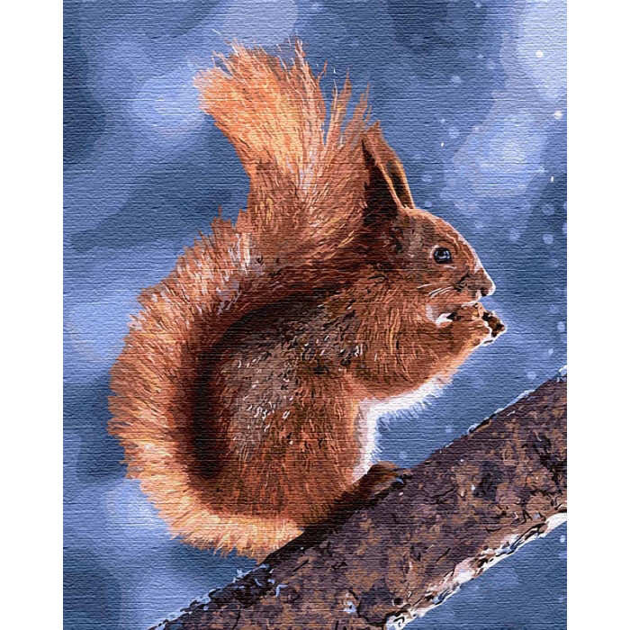 Картина за номерами. "Маленька білочка" 40 * 50см Картина за номерами. "Маленька білочка" 40 * 50см