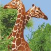 Картина по номерам. Art Craft "Пара жирафов" 40х50 см
