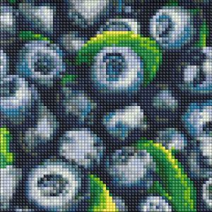 Алмазна мозаїка без підрамника "Соковита лохина" 20х20 см Алмазна мозаїка без підрамника "Соковита лохина" 20х20 см