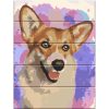 Картина за номерами по дереву "Красуня коргі" 30х40 см