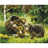 Картина за номерами "Їжачок-щасливчик", 40x50 см