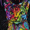 Картина за номерами. Brushme "Абісинська кішка", 40х50 см